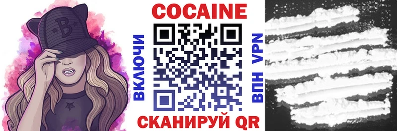 Купить Сухой Лог COCAIN Fish Scale