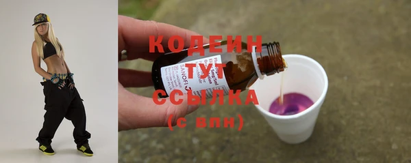 соль ск Волосово